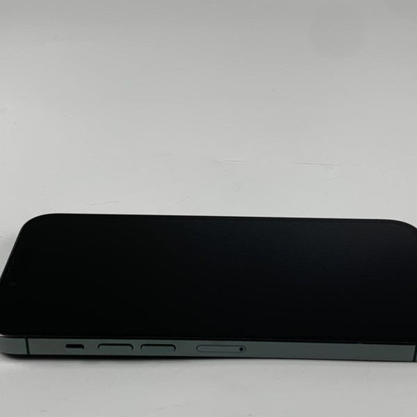 Apple iPhone 13 Pro Max - Unlocked, 512 GB, Green, A2484