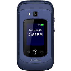 Sell Sunbeam F1 Horizon