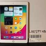 Good Apple iPad (6th Gen) - Wi-Fi, 128 GB, Gold, A1893