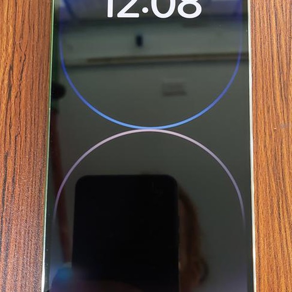 Apple iPhone 14 Pro Max - Unlocked, Silver, 256 GB, A2651