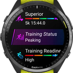 Mint Garmin Forerunner 965 - Black