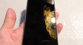 Good
													Apple iPhone 11 - Unlocked, Green, 64 GB, A2111, photo 2 of 5
