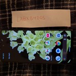 Good Google Pixel 6 - Unlocked, 128 GB, Seafoam, 8 GB, GB7N6