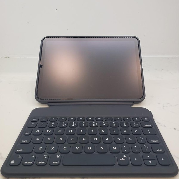 Apple iPad Mini (6th Gen) - Unlocked, 256 GB, Gray, A2568
