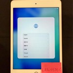 Mint Apple iPad Mini (5th Gen) - Wi-Fi, 64 GB, Gold
