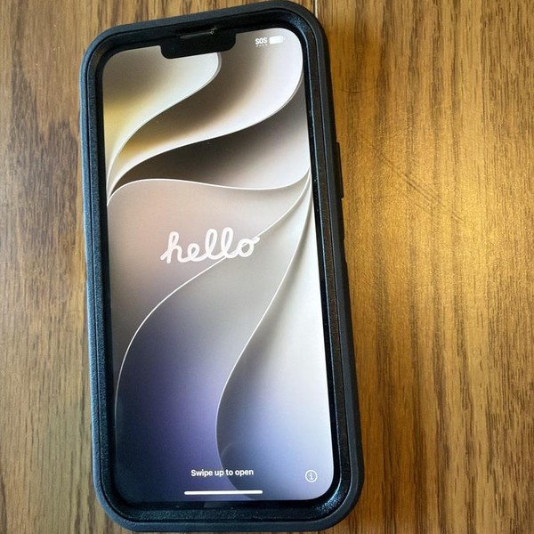 Apple iPhone 13 Pro Max - Unlocked, 256 GB, Gold, A2484