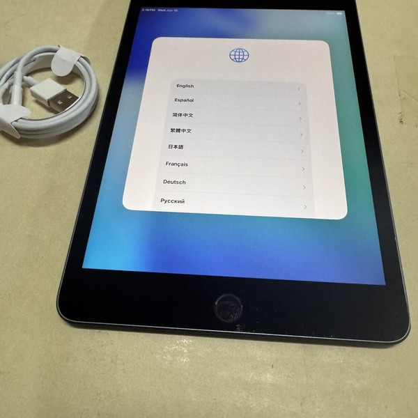 Apple iPad Mini (5th Gen) - Wi-Fi, 256 GB, Gray