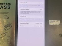 Apple iPhone 16 Pro Max
