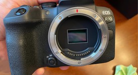 Mint
													Canon EOS R10, photo 3 of 19