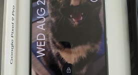 Mint
													Google Pixel 9 Pro - Unlocked, Hazel, 512 GB, 16 GB, GR83Y, photo 4 of 8