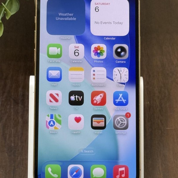 Apple iPhone 13 Pro Max - Unlocked, 128 GB, Gold, A2484