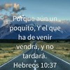 Luis M.