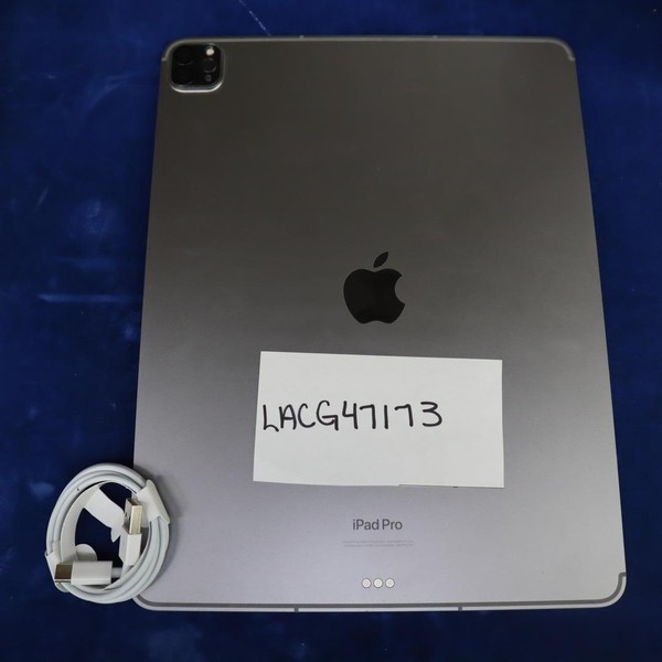 Apple iPad Pro 12.9 inch 6th Gen 2022 - Unlocked, 256 GB, Gray