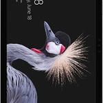 Good Microsoft Surface Pro 5 (2017) - Unlocked, 256 GB, Silver, 8 GB, LTE