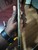 Good Samsung Galaxy S24 Ultra - AT&T, Yellow, 256 GB, 12 GB, SM-S928U