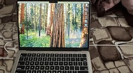 Mint
													MacBook Air 2024 (M3) - 13" - Apple M3, Starlight, 256 GB, 8 GB, 10-core GPU, photo 1 of 8