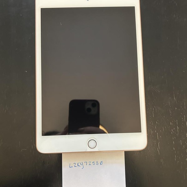 Apple iPad Mini 5th Gen - Wi-Fi, 64 GB, Gold