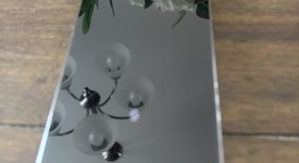 Good
													Google Pixel 9 Pro XL - Unlocked, Obsidian, 128 GB, 16 GB, GGX8B, photo 4 of 7
