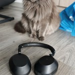 Used Sony WH-1000XM5 - Black