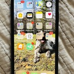 Mint Apple iPhone 11 - Unlocked, Black, 64 GB, A2111