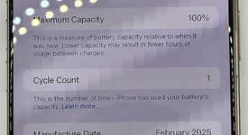 Mint
													Apple iPhone 16 Pro Max - Unlocked, Natural, 256 GB, A3084, photo 4 of 13