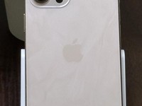 Apple iPhone 12 Pro Max