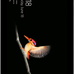 Good Microsoft Surface Go - Wi-Fi, 64 GB, Silver, 4 GB