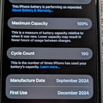 Mint Apple iPhone 16 Pro Max - Unlocked, 256 GB, Black, A3084