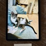 Good Apple iPad Air (4th Gen) - Wi-Fi, 256 GB, Gray, A2316