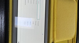 Mint
													Nintendo Switch Lite - Gray, Zacian and Zamazenta Edition, photo 4 of 12