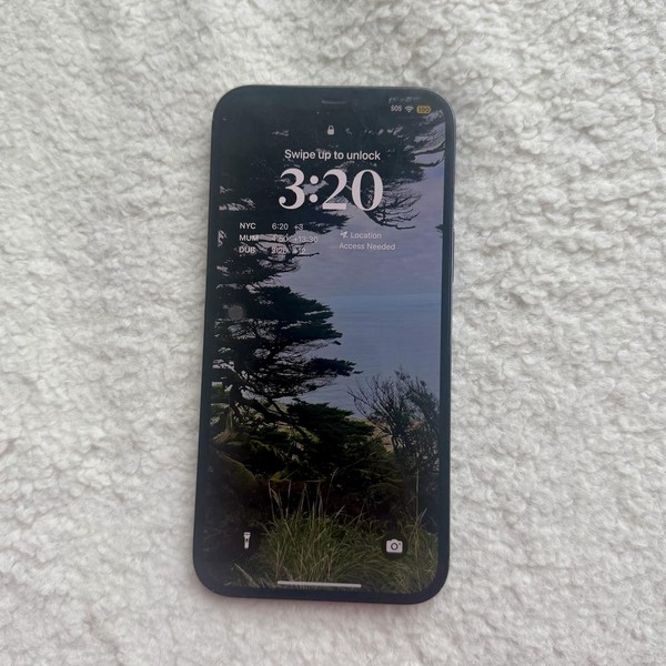 Apple iPhone 12 Pro Max - Unlocked, 256 GB, Pacific Blue, A2342