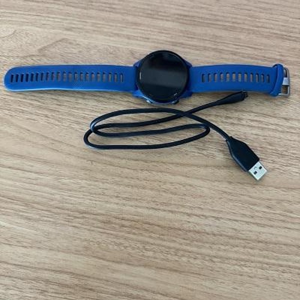 Garmin Forerunner 255 - Blue, Standard