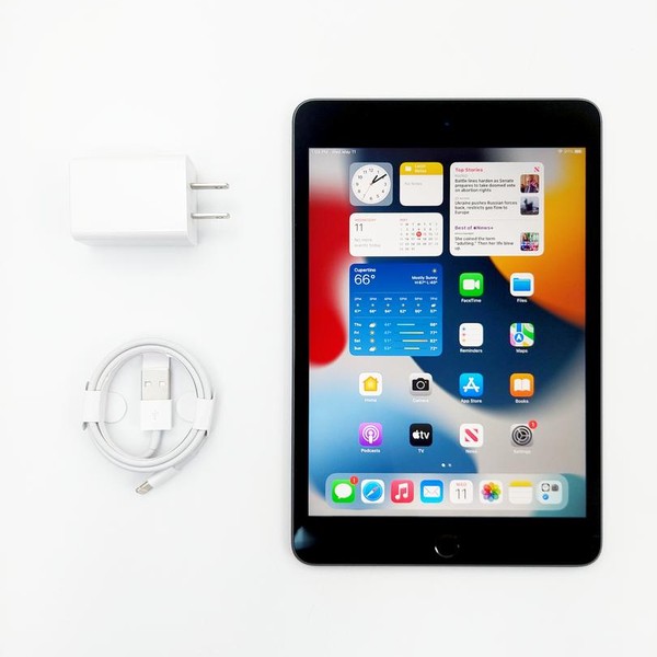 Apple iPad Mini 5th Gen - Unlocked, 256 GB, Gray