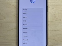 Apple iPhone 12 Pro Max