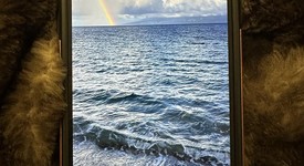 Good
													Apple iPhone 12 Pro Max - AT&T, Pacific Blue, 512 GB, A2342, photo 1 of 8
