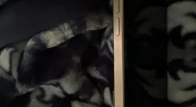 Mint
													Apple iPhone 16 Pro Max - Unlocked, Desert, 256 GB, A3084, photo 5 of 8