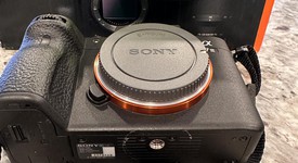 Mint
													Sony a7 III, photo 5 of 7