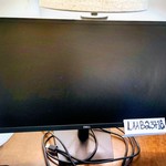 Mint Dell Monitor