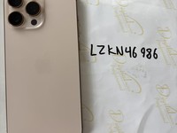 Apple iPhone 16 Pro Max