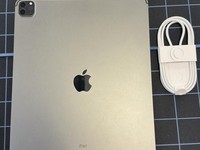 Apple iPad Pro 12.9" 5th Gen 2021