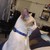 Seller: Jacko