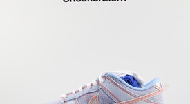 New
													Nike Dunk Low Union Passport Pack Argon - 4, photo 5 of 9