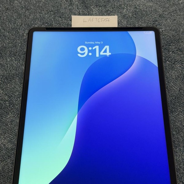 Apple iPad Pro 12.9 inch 5th Gen 2021 - Unlocked, 256 GB, Gray