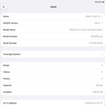 Mint Apple iPad Pro 11 inch 3rd Gen 2021 - Wi-Fi, 128 GB, Gray