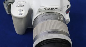 Good
													Canon EOS Rebel SL2, photo 1 of 10