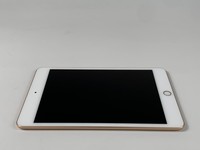 Apple iPad Mini 5th Gen