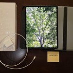 Mint Apple iPad Pro 12.9 inch 4th Gen 2020 - Wi-Fi, 128 GB, Gray, A2229