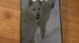 Good
													Apple iPhone 16 Pro - Unlocked, White, 256 GB, A3083, photo 1 of 5