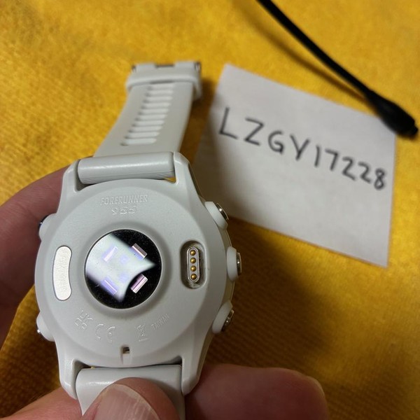 Garmin Forerunner 955 - White, Standard