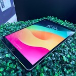Fair Apple iPad Pro 10.5 inch - Unlocked, 256 GB, Gray